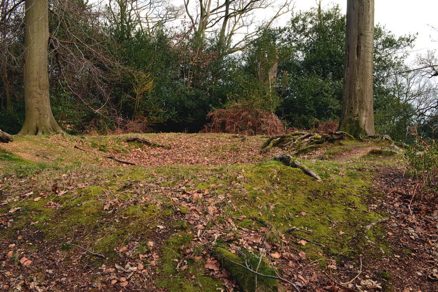 Bill Hill Iron Age Mound