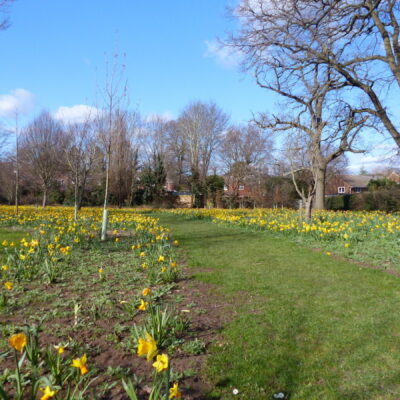 The Elms park