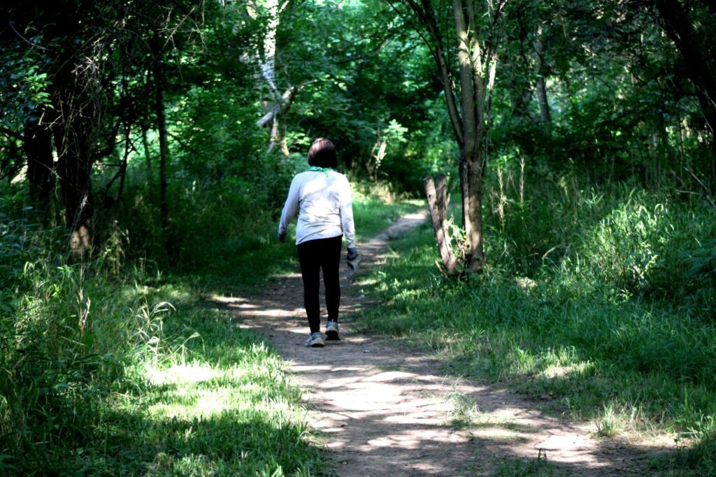 Walk in the woodland