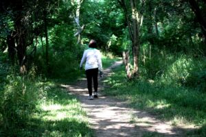 Walk in the woodland